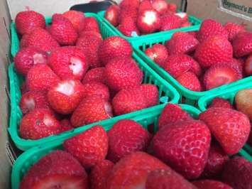 The annual LaSalle Strawberry Festival, June 11, 2015. (Photo by Jason Viau)