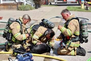 A dog was rescued from a structure fire at Durand Street near Russell Street on August 13, 2024. (Photo courtesy of Sarnia Fire Rescue Services via X) 