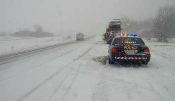 File photo of OPP cruiser at the side of Wonderland Rd. near Hwy. 402. Photo by OPP via Twitter