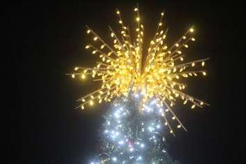 The star atop the main Christmas tree at Bright Lights Windsor, Jackson Park, December 6, 2019. Photo by Mark Brown/Blackburn News.