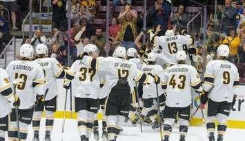 Sarnia Sting players celebrate after beating Windsor in overtime in their 2024-2025 season opener. Photo courtesy of Metcalfe Photography. 