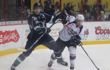 Windsor Spitfires Centre Aaron Luchuk battles for a puck against the Plymouth Whalers, December 31, 2014. (photo by Mike Vlasveld)