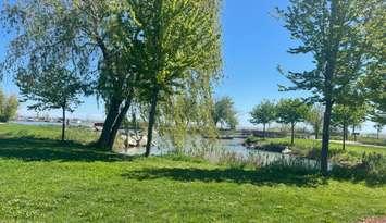 Lakeview Park West Beach in the Municipality of Lakeshore, May 8, 2024. (Photo by Maureen Revait) 