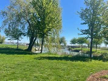 Lakeview Park West Beach in the Municipality of Lakeshore, May 8, 2024. (Photo by Maureen Revait) 