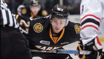 Sam Studnicka (Photo courtesy of Sarnia Sting)