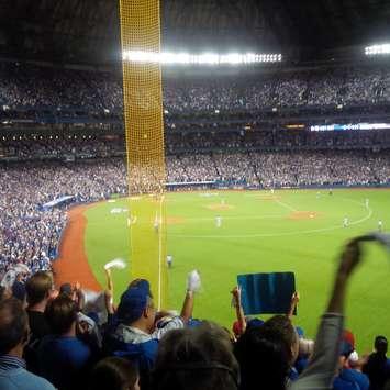 Blue Jays submitted by Mike Bradley