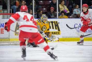 Soo Greyhounds at Sarnia Sting, February 19, 2024. Photo by Metcalfe Photography. 