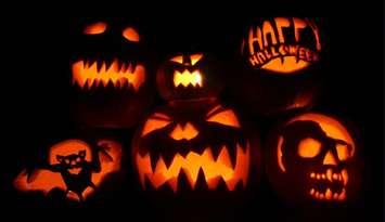 Jack-O-Lanterns. (Photo by The B's from Flickr)