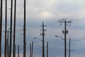Powerlines at St. Clair College's Thames Campus, June 28, 2019 (Photo by Jake Kislinsky)