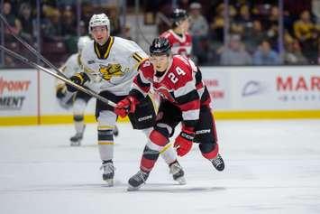 Sarnia Sting host Ottawa on Nov 22, 2024. (Photo by: Darren Metcalfe Photography) 