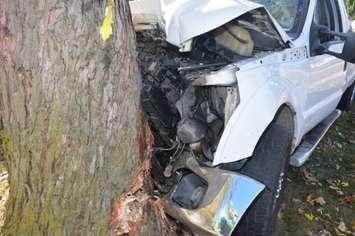 Car hit a tree in LaSalle Saturday morning (Photo by: LaSalle police)