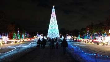 The main Christmas tree at Bright Lights Windsor is displayed at Jackson Park on December 27, 2017. Photo by Mark Brown/Blackburn News.