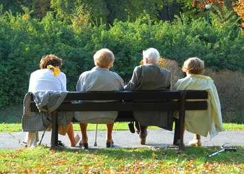 (CanStockPhoto.com photo)