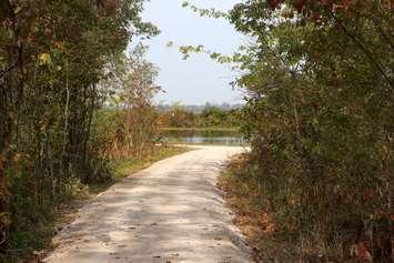 A trail at Holiday Beach, provided by ERCA. 