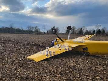 The plane was forced to do an emergency landing in a field on Raglan Street. (Photo courtesy of Collingwood and The Blue Mountains OPP)