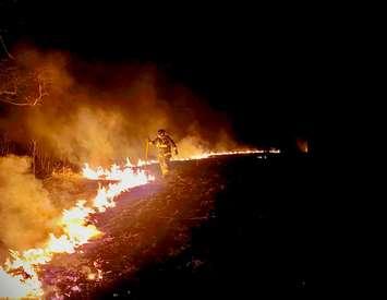 A firefighter battling a small wildfire near the Saugeen River, April 22, 2025. Photo provided by Saugeen Fire and Emergency Services.