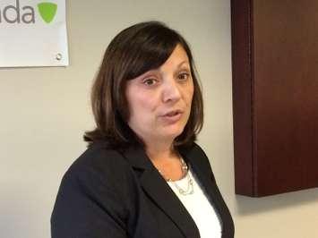 Executive Director of Family Services Windsor Essex County Joyce Zuk, October 26, 2016. (Photo by Mike Vlasveld)