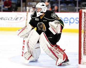 Joseph Raaymakers of the London Knights. (Photo courtesy of Aaron Bell via OHL Images)