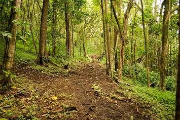 Photo by jdnk via Flickr
