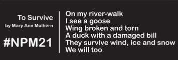 A short poem by Windsor Poet Laureate Mary Ann Mulhern courtesy of the City of Windsor.