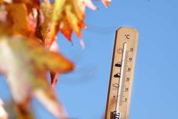 Warm fall photo by Csaba Toth. iStock / Getty Images Plus