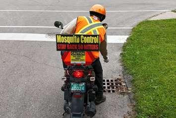 Lambton Public Health begins mosquito control program. June 24, 2024. (Photo courtesy of LPH via X)