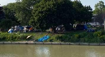 A homeless encampment at Mike Ordon Park on Thames Street in Chatham. August 2024. (Photo by Matt Weverink)