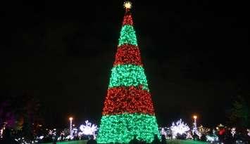 The main tree is lit up at Bright Lights Windsor, Jackson Park, December 6, 2019. Photo by Mark Brown/Blackburn News.