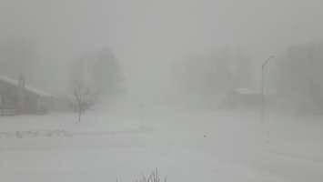 White out conditions in Port Elgin on December 14, 2016. (Photo by Craig Power)