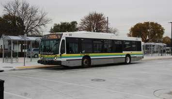 Transit Windsor bus at the west end bus terminal, November 6, 2019. (Photo by Maureen Revait)