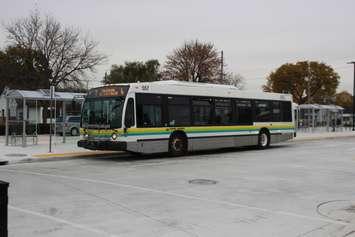 Transit Windsor bus at the west end bus terminal, November 6, 2019. (Photo by Maureen Revait)