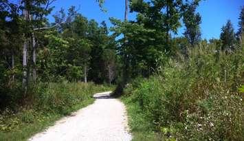 A bike trail at Point Pelee National Park. (Photo by Kevin Black)