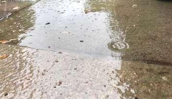 Rainfall in Chatham-Kent on July 19, 2020 (Photo by Matt Weverink)