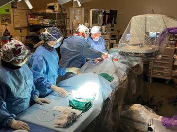 Windsor Regional Hospital surgical team. (Provided by Windsor Regional Hospital) 