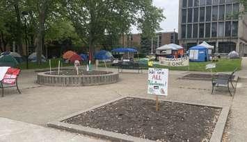 Pro-Palestinian encampment at the University of Windsor, May 15, 2024. (Photo by Maureen Revait) 