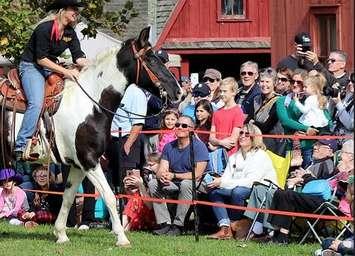 (Photo of the Harvest and Horse Festival courtesy of the Essex Region Conservation Authority)
