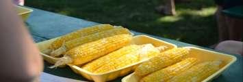 Tecumseh Cornfest. Aug. 23, 2019. (Photo courtesy of Tecumseh Cornfest)