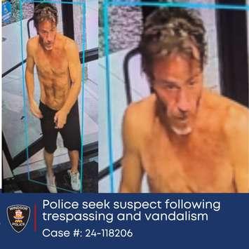 Suspect wanted in trespassing and vandalism investigation (Photo by: Windsor Police Service)