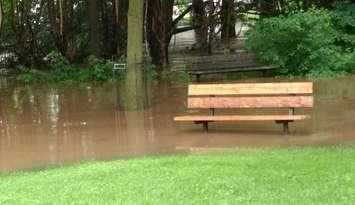 Flooding in Harrstion on June 23, 2017. (Photo by Dan Bieman) 