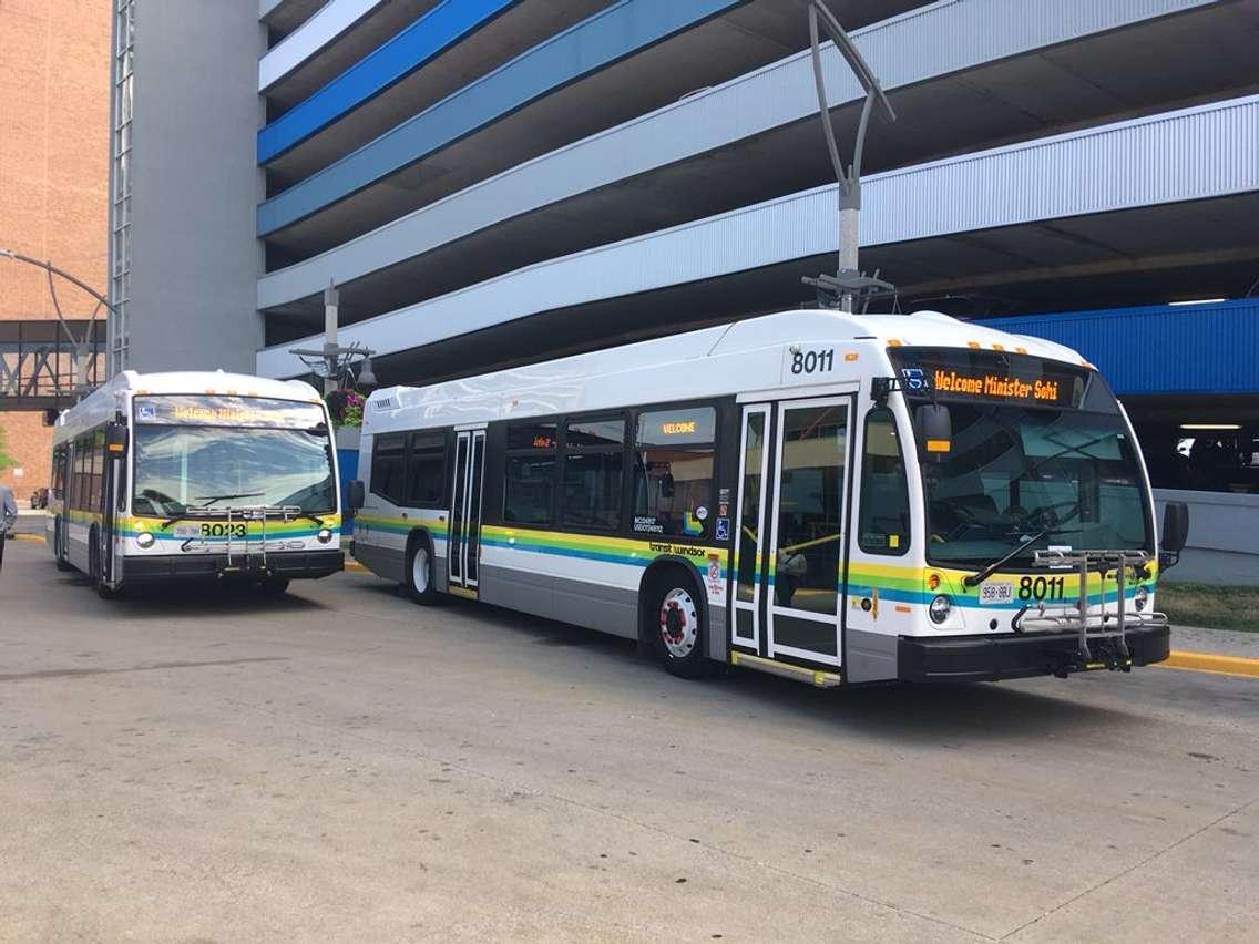 Transit Windsor diesel buses. July 16, 2018. (Photo by Paul Pedro)