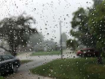 Rainfall. July 19, 2020 (Photo by Matt Weverink)