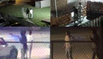 Surveillance camera images of suspects being sought by Windsor police in a firearm case, July 20, 2025. Images provided by Windsor police.