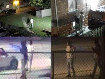 Surveillance camera images of suspects being sought by Windsor police in a firearm case, July 20, 2025. Images provided by Windsor police.