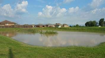Residential flooding in Essex. (Photo courtesy Glen Mills)
