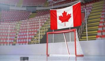 Hockey net. Photo by Derek Brumby, iStock/Getty Images Plus. 