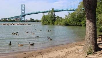 Ambassador Bridge. (Photo by Jason Viau)