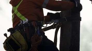 A hydro worker on a utility pole. Photo courtesy of Entegrus