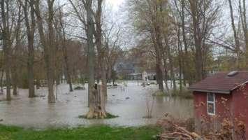 Leamington flooding May 02, 2017.  (Photo courtesy of Annie Letkeman)