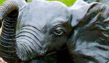 (Photo of one of Tembo's baby elephants courtesy of the City of Windsor)