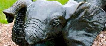 (Photo of one of Tembo's baby elephants courtesy of the City of Windsor)